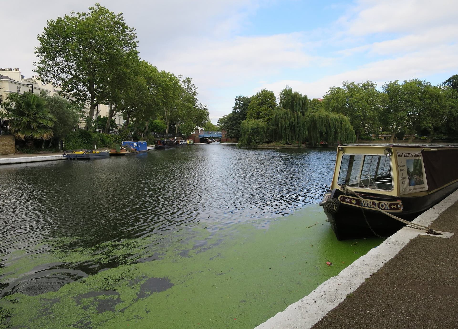 Little Venice - 2